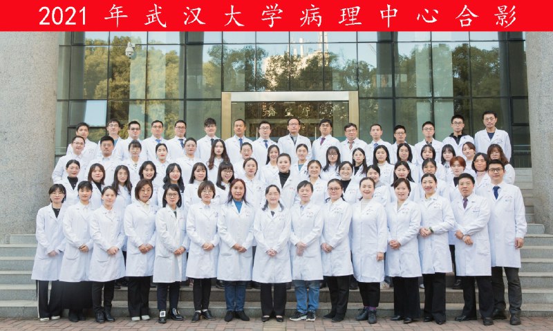 《回医七心收阴术》七心收阴术融合传统回医智慧与现代健康理念，通过独特手法调理身心平衡，操作清晰易懂