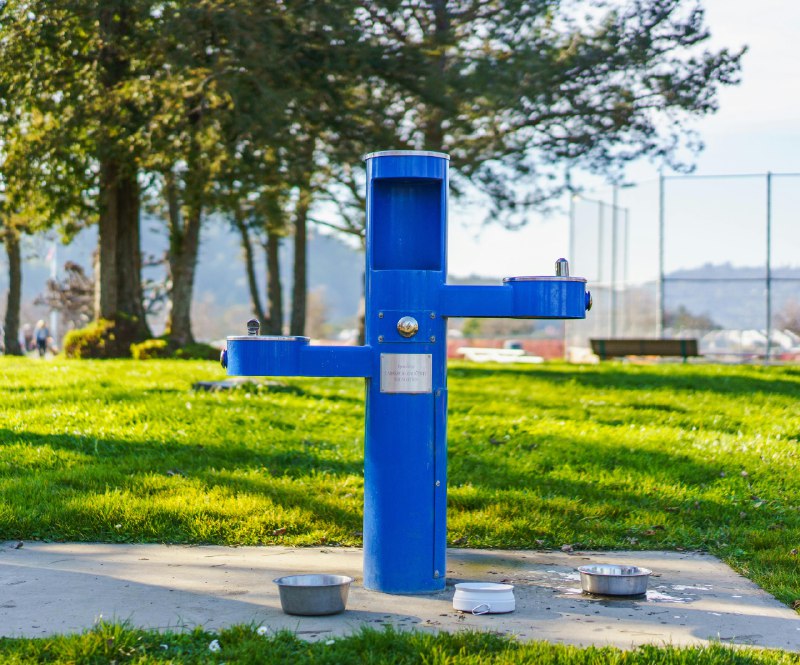 《文脉教育All Star 星推荐·一本涂书 (高中全科) 》本书由名校学霸手写批注，整合高中全科核心知识与易错点，搭配彩色涂鸦与思维导图，让重点一目了然