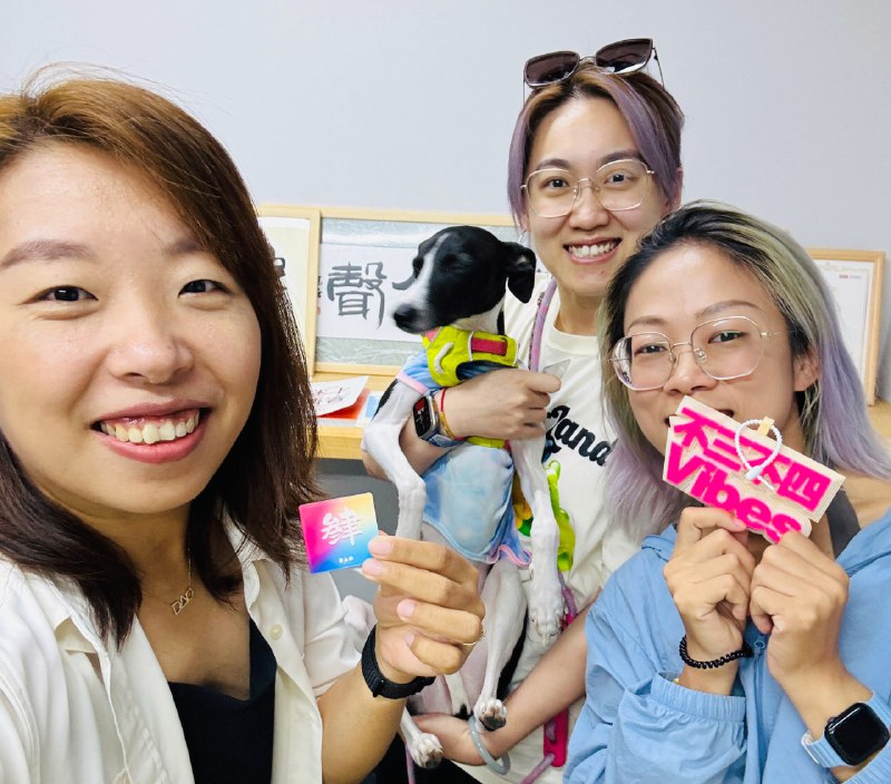 《VLOG短视频训练营专业付费课程  从小白到高手，拍出爆款视频》课程从零开始手把手教学，覆盖策划、拍摄、剪辑全流程，提供实用技巧与爆款心法