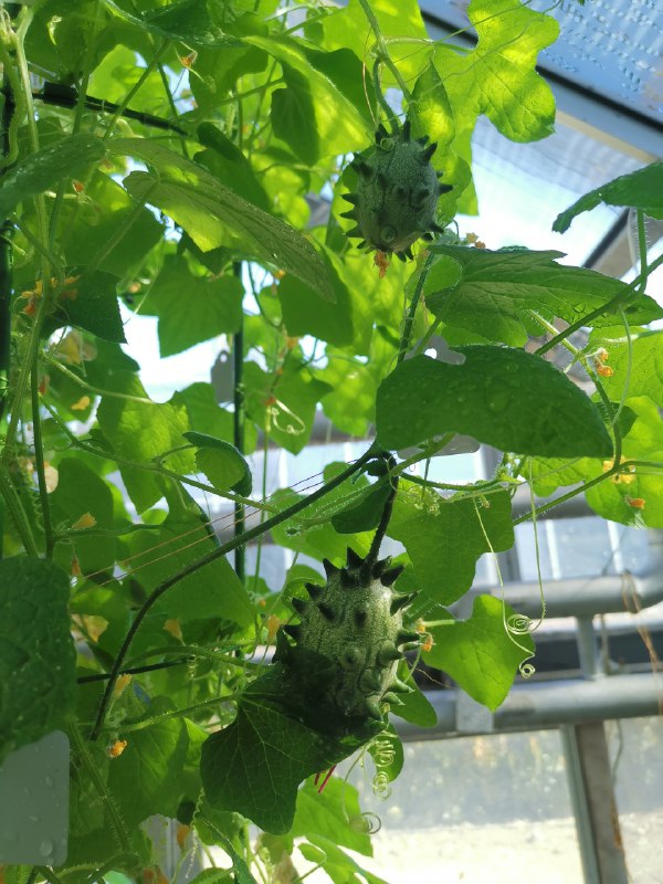 《金钱星球》跟随货币的全球旅行，揭示金融体系背后的隐形网络