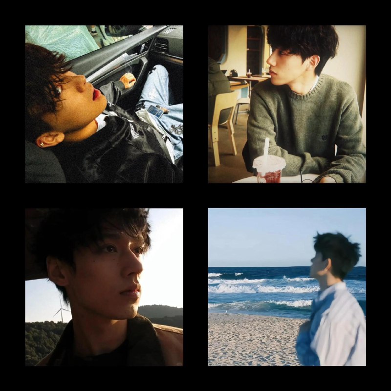 《张新民零基础看财务报表》本书从零起步，化繁为简，带领初学者轻松跨越财报门槛