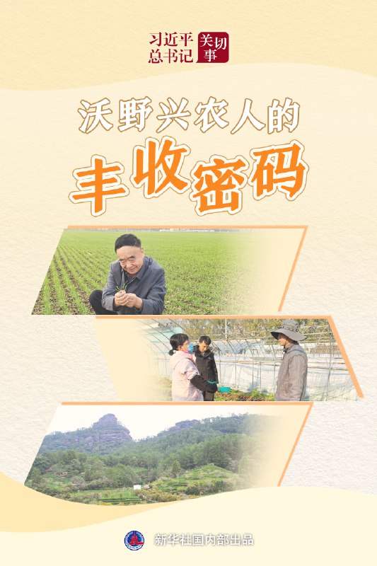 《三节课ChatGPT大师班从入门到精通》这门课程从零开始带你掌握ChatGPT，不仅覆盖基础操作与核心技巧，更深入实战应用场景，助你解决工作学习中的真实问题