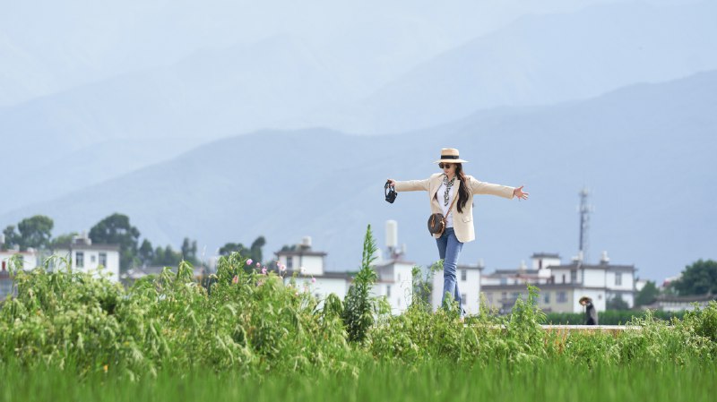 《海德格尔对黑格尔的现象学阐释研究 》本书深入剖析海德格尔对黑格尔现象学的独特解读，揭示了二者思想对话的深层张力与哲学传承