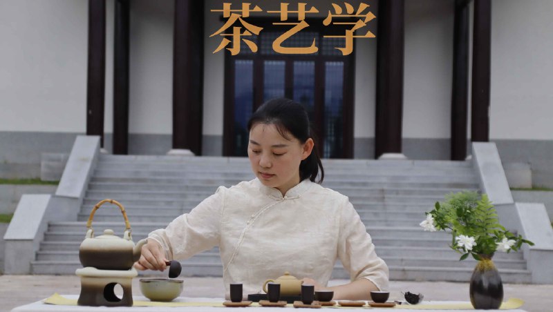 《茶艺课程》从茶叶历史到冲泡技巧，系统掌握茶艺精髓
