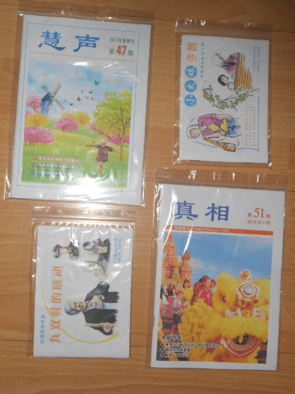 《邵彦：中国古代绘画通识课完结》这门课带你系统梳理中国绘画史，从远古岩画到明清巅峰，邵彦教授以清晰脉络和生动解读，揭示名作背后的历史密码与美学精髓，零基础也能轻松入门，提升艺术鉴赏力