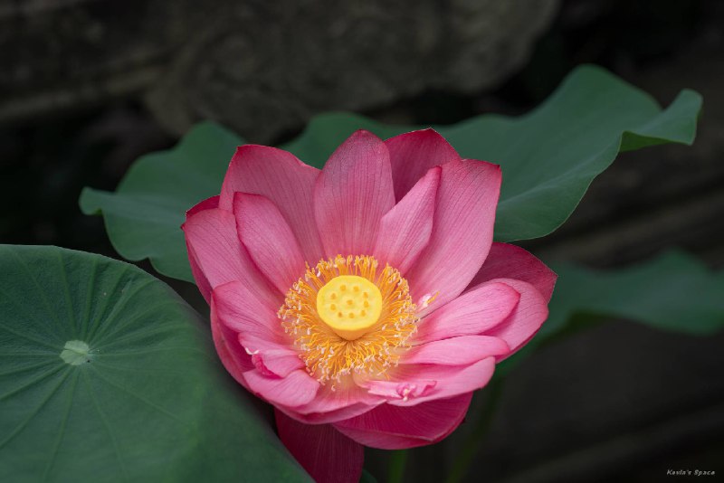 《李涛摄影后期高手之路[PS]》本书深入剖析摄影后期核心原理，从底层逻辑出发，助你建立系统的修图思维