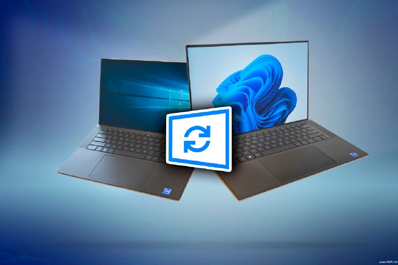 《CBA10冠王训练师教你从0学篮球》由CBA十冠王训练师亲授，从零基础到球场高手，系统拆解篮球技巧