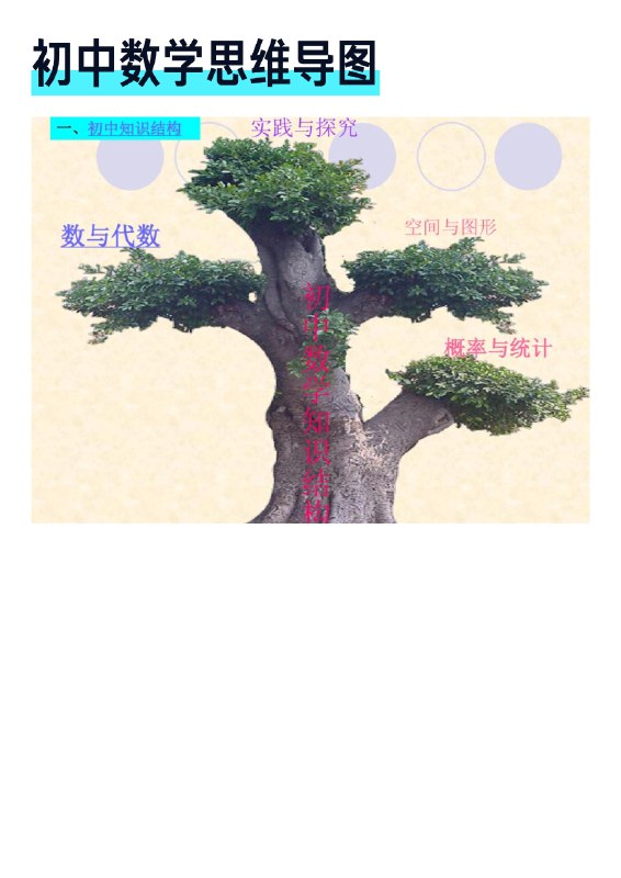 《初中各科知识点梳理》本书系统梳理初中全科重点，知识脉络清晰，配有典型例题与学法指导，帮助学生构建知识体系，高效巩固基础，轻松应对学习挑战