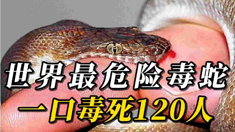 《姜振宇主讲MBTI性格分析》姜振宇以心理学视角深入解析MBTI，结合生动案例与实用建议，帮助观众跳出类型标签，真正理解性格差异背后的逻辑，提升自我认知与人际沟通能力