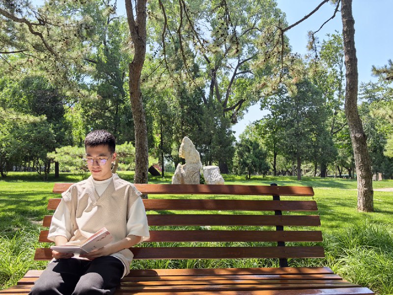 《碰撞中的民族大融合：魏晋南北朝》本书聚焦魏晋南北朝时期的民族碰撞与融合，以生动笔触揭示动荡背后的文化交融与社会新生，展现中华文明强大的包容力与创造力，为理解多元一体中华民族形成提供关键视角