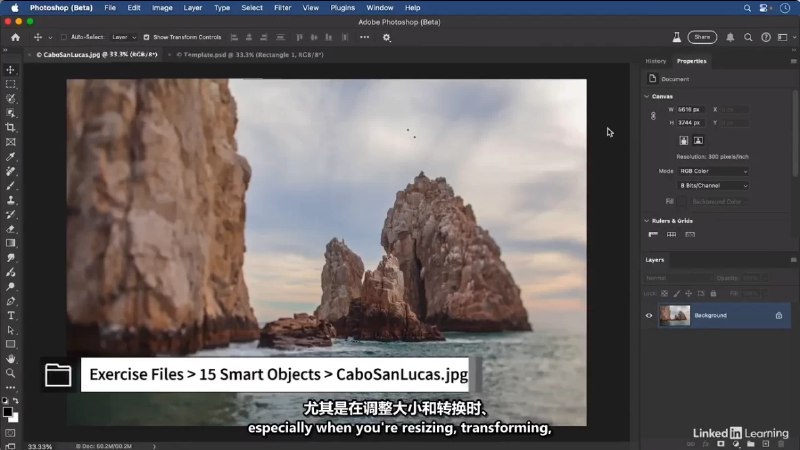 名称：《Photoshop 2025全面核心技术训练教程 》简介：Photoshop 2025全面核心技术训练教程是一本深入探讨其核心主题的著作，作者通过大量案例分析与深入研究，提供了对相关问题的独特见解