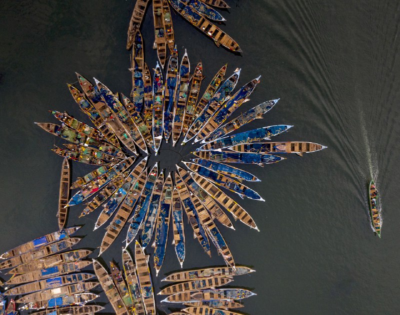 《现代钓具实用手册 》本书系统介绍各类现代钓具的选用技巧与保养方法，配以实景图解和实战心得，帮助钓友快速提升作钓效率，无论是新手入门还是老手升级都能找到实用指南