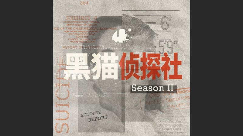 《100个中外特大罪案集.灼雪.刘宇.柳纬铚.等.演播主播老道.2021》这部罪案集精选百起惊世大案，由主播老道以沉浸式演播呈现