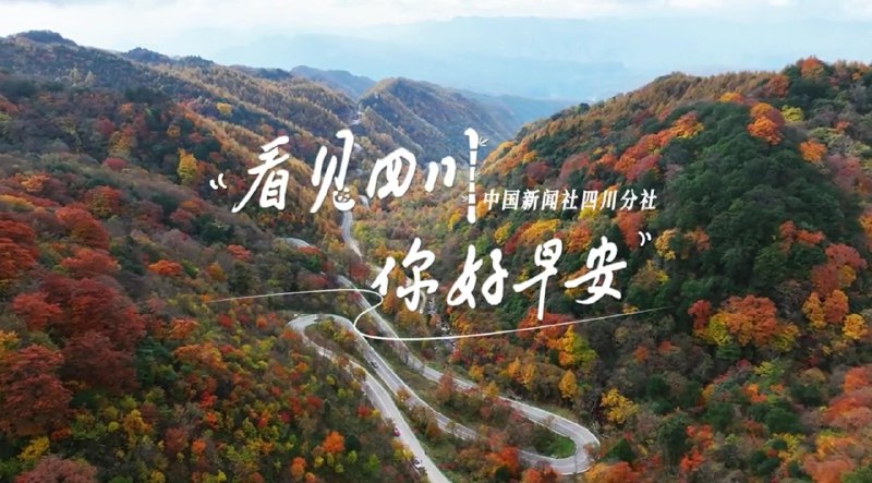 《2024年司马刷题满分提升计划 》本计划深度剖析真题规律，搭配独家解题模型与高频考点精讲，帮助考生系统构建知识框架，突破学习瓶颈