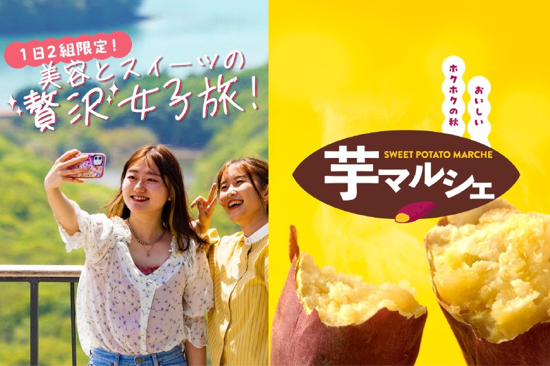 《黑马人工智能实战项目-AI在线医生(41课)》课程从零搭建AI在线医生，涵盖医学知识库构建、问诊对话引擎开发及多轮对话核心技术