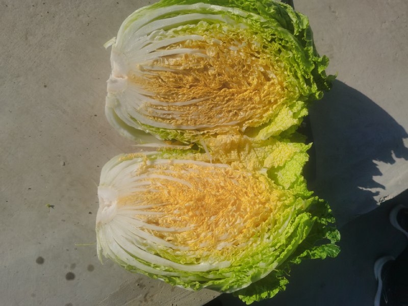 《爽口辣白菜》精选新鲜白菜与秘制辣酱完美融合，经过传统工艺发酵，呈现出酸辣脆爽的独特口感