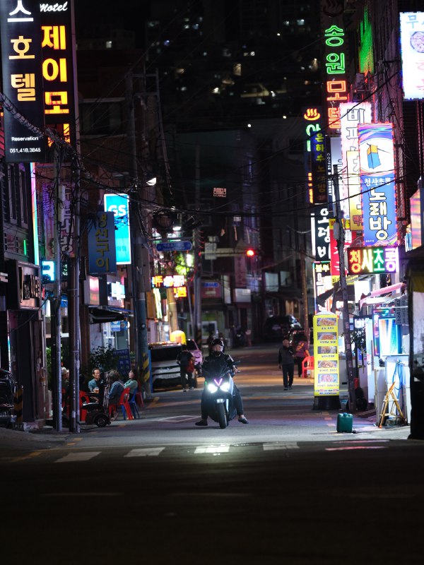 《东西街》本书以个人命运切入历史洪流，通过两个家族的悲欢离合，深刻展现二十世纪欧洲的沧桑巨变