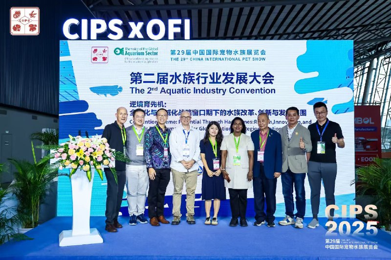 《小初高学习资料合集09.19》本合集系统梳理小初高核心知识点，涵盖重点题型解析与高效学习方法