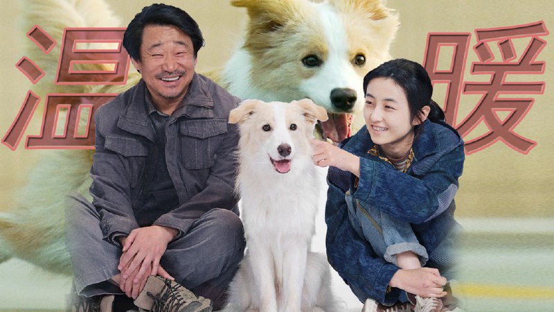 《我在1986当倒爷主播：张二狗 1115集完》穿越1986，张二狗凭借超前眼光玩转倒爷江湖，从摆地摊到建商业帝国，剧情跌宕反转不断