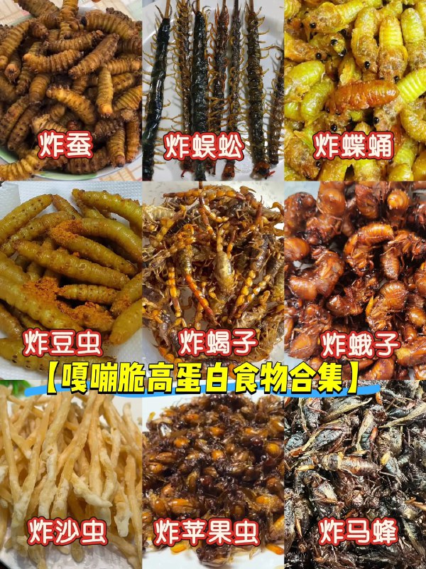 《美食与文明》本书以全球为舞台，跨越数千年历史，讲述从古老村落到现代都市的饮食演变