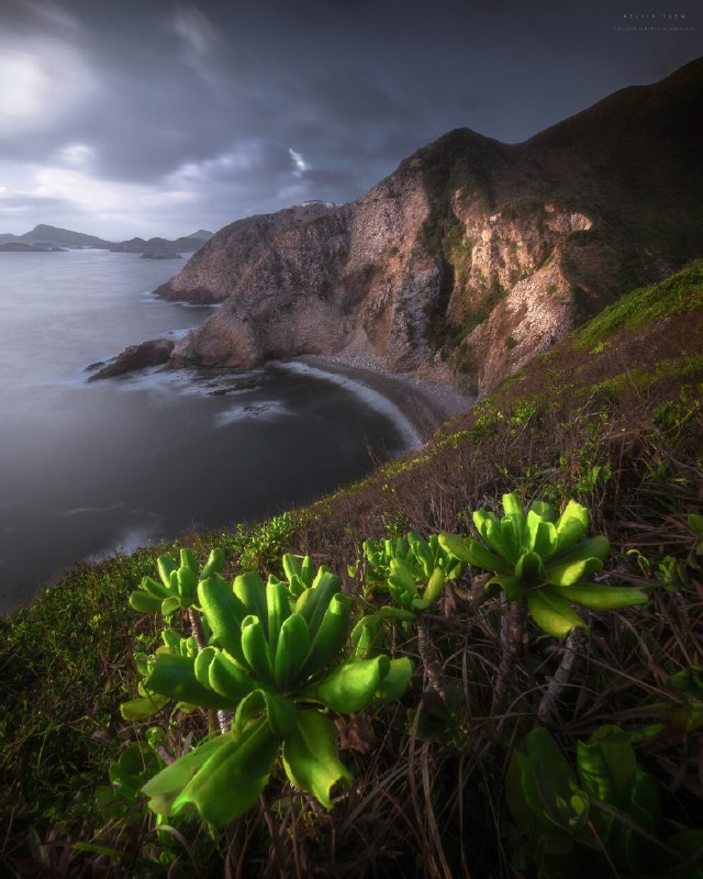 《BBC儿童科学实验节目Wow That's Amazing 》节目将复杂的科学原理转化为简单有趣的实验，每一集都充满惊喜与互动，激发孩子的好奇心与探索欲