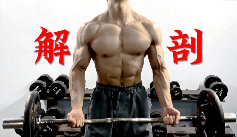 《全身暴汗健身视频教程》高强度间歇训练结合全身燃脂动作，快速提升心率，加速新陈代谢