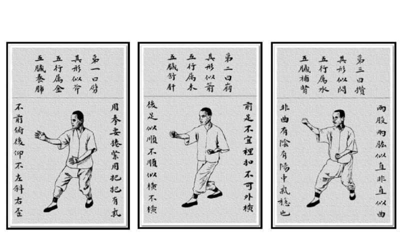《形意拳》形意拳以三体式为根基，五行拳为核心，十二形拳为灵动变化，动作简洁朴实却劲力饱满