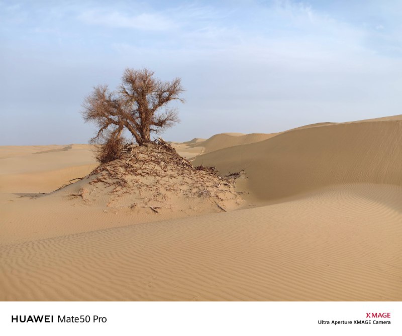 《中国历史长河图 (1亿像素)》这幅长卷以惊人细节呈现中华五千年文明脉络，从远古传说至现代成就，高清像素下可窥见每个朝代的标志性场景与文物，仿佛置身历史长廊，是沉浸式感受华夏辉煌的视觉盛宴