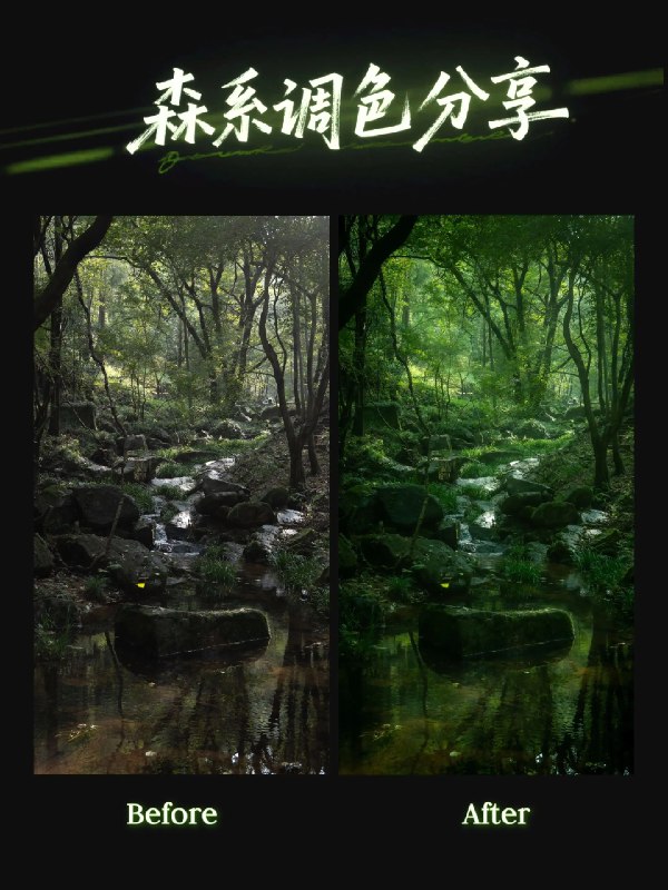 《摄影调色合集》本合集精选多种风格调色案例，从复古胶片到清新数码，详细解析参数与思路