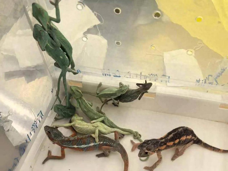 《筑龙网零基础水暖电安装造价速成班（转行必备+实操案例）》课程专为零基础转行人员设计，通过真实工程案例手把手教学，快速掌握水暖电安装造价的核心技能与实操要领，助力学员在短期内具备独立上岗能力，实现职业转型