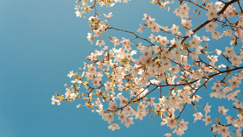 《2026超格行测+申论（五合一）超大杯刷题营》这套刷题营精选高频考点与最新真题，通过五合一系统训练，帮助考生高效突破行测与申论