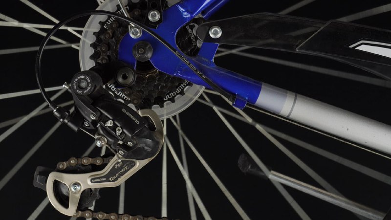 《21天背完托福核心1600词》科学记忆周期规划，21天高效攻克托福词汇