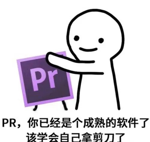 名称：《AdobePremiereCC教程》|简介：AdobePremiereCC教程汇集了多领域的知识，帮助你在生活与职业中找到更多的可能性