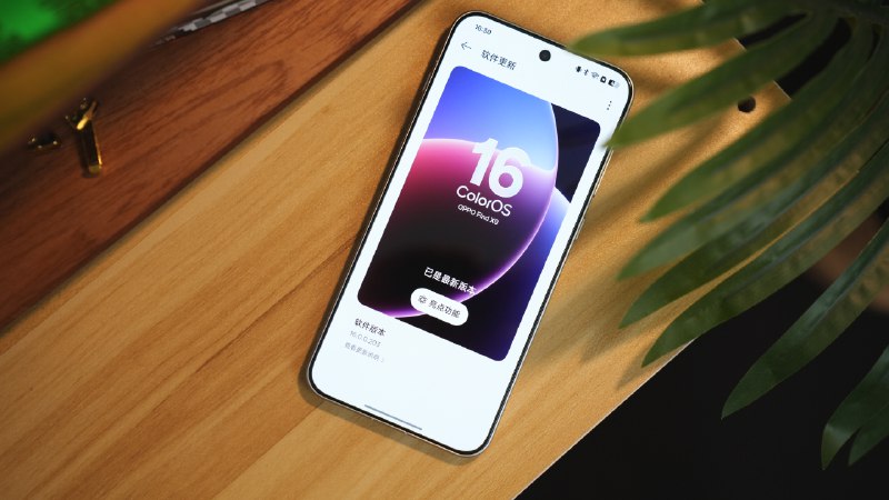 《历史调研室B站充电专属视频合集》本合集收录了历史调研室在B站独家发布的充电专属视频，内容涵盖深度历史解析与独家幕后花絮，以严谨考据和生动叙事展现历史的多维面貌