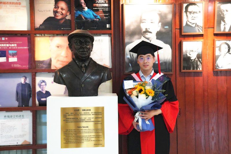 《2016篇29篇》这部作品集收录了2016年的精选篇章，通过多元视角记录时代变迁与个体思考，既有社会观察的锐度，亦含人文关怀的温度