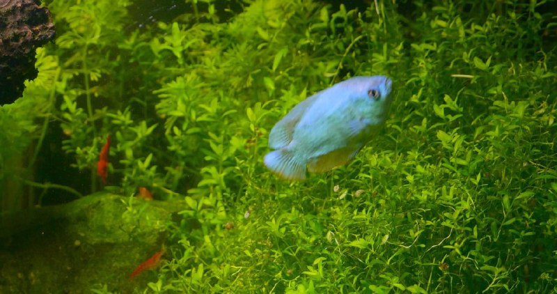 《XAI大师私教课10节课将你训练成qing爱大师》本课程通过10节系统化教学，从理论到实践全面解析情感关系本质，融合心理学工具与真实场景案例，帮助学员掌握深度沟通、情绪洞察与关系维护的核心能力，实现个人情感认知的跨越式成长