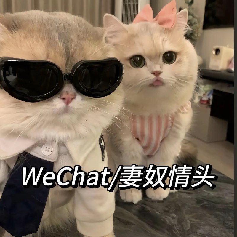 《爱爱技巧 》探索亲密关系的深度指南，从基础沟通到进阶技巧全面解析