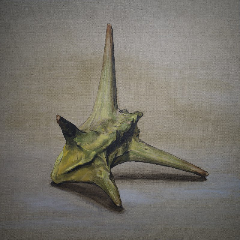 《不如去闯》这本书是“90后国民学长”李柘远成长分享，以亲身经历为你提供干货指南