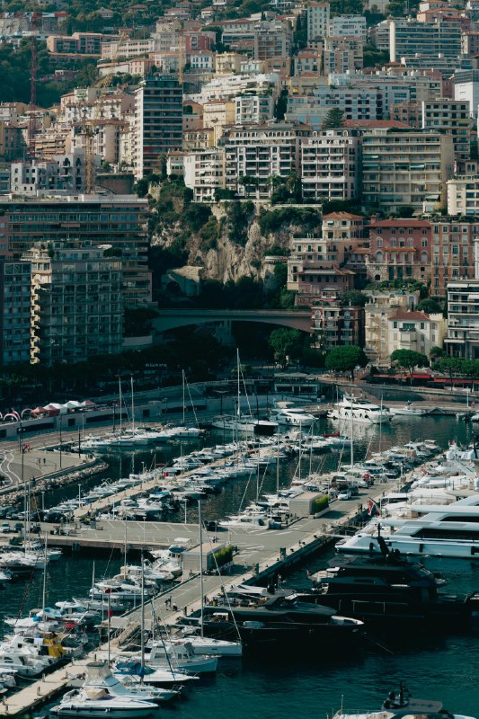 《法国人的港湾》这部作品以细腻笔触描绘法国海滨小镇的风情与人性纠葛，浪漫与现实的交织中，隐藏着关于爱与背叛的深刻寓言