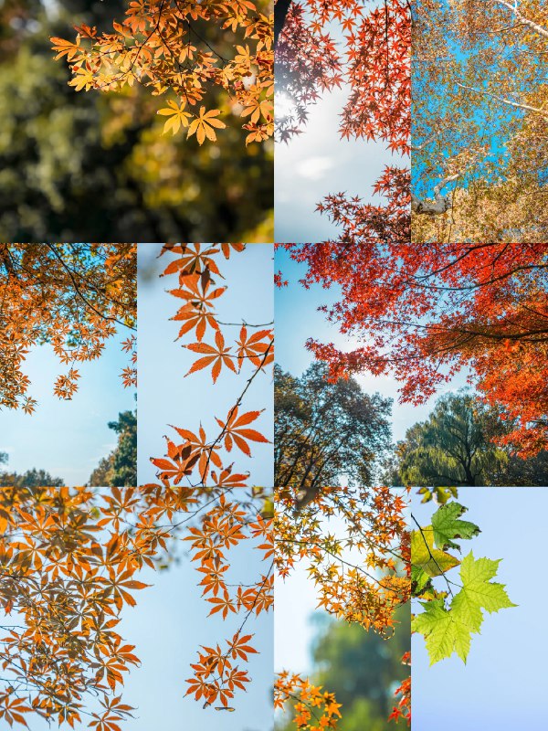 《浮生一日》这部纪录片邀请全球网民记录同一天的生活，汇聚成平凡而动人的生命交响