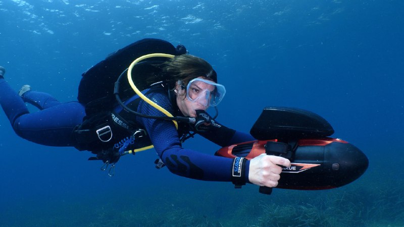 《成人社会生存课|12节课掌握职场生存（人际交往+情绪管理+零基础适用]》从零基础到游刃有余，12节课程直击职场痛点