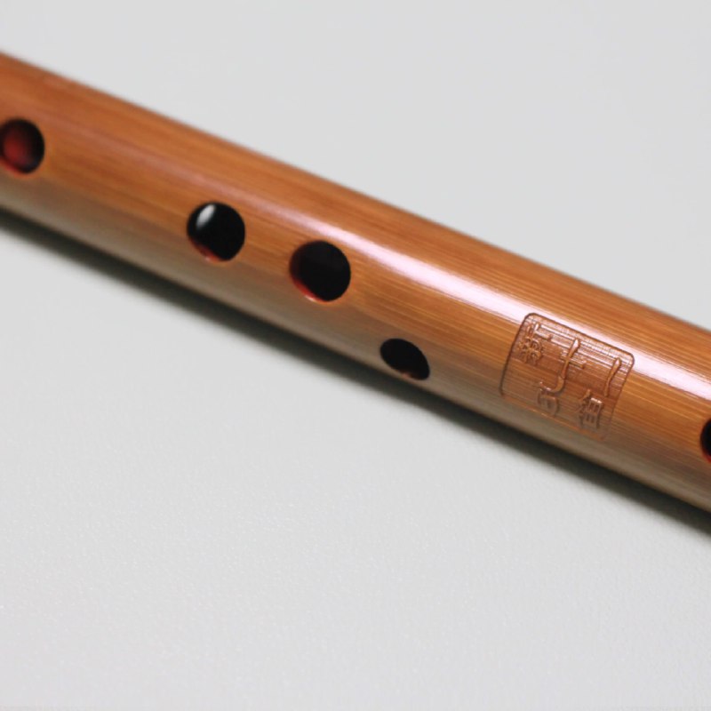 《零基础学陶笛》从零开始轻松入门，详细图解指法与气息，搭配经典曲谱练习