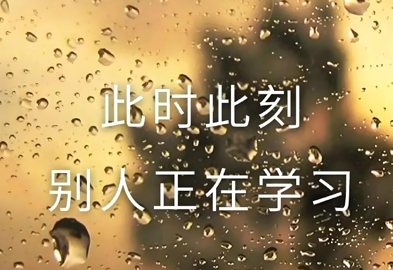 《从课本到奥数》这套书巧妙衔接课内与竞赛，将课本知识延伸拓展，帮助学生夯实基础、突破难点