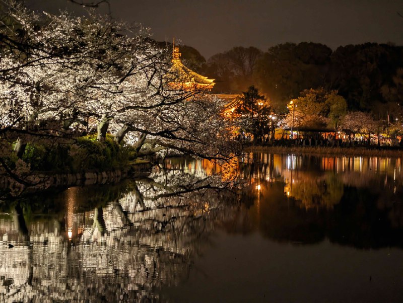 《暴走军国：近代日本的战争记忆(pdf)》本书深入剖析日本近代军国主义的形成与演变，通过战争记忆的独特视角，揭示历史叙事背后的社会心理与政治动因