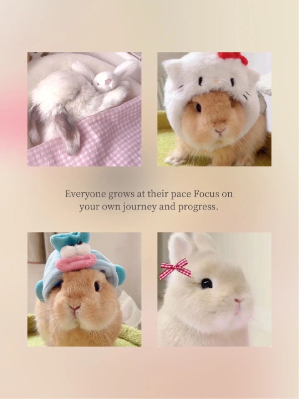 《高校辅导员ZG课程》本课程聚焦辅导员核心素养提升，通过理论阐释与实务案例相结合，系统讲解课程育人、日常思政的关键环节，助力辅导员将ZG教育深度融入学生指导工作，有效增强工作的思想性与亲和力