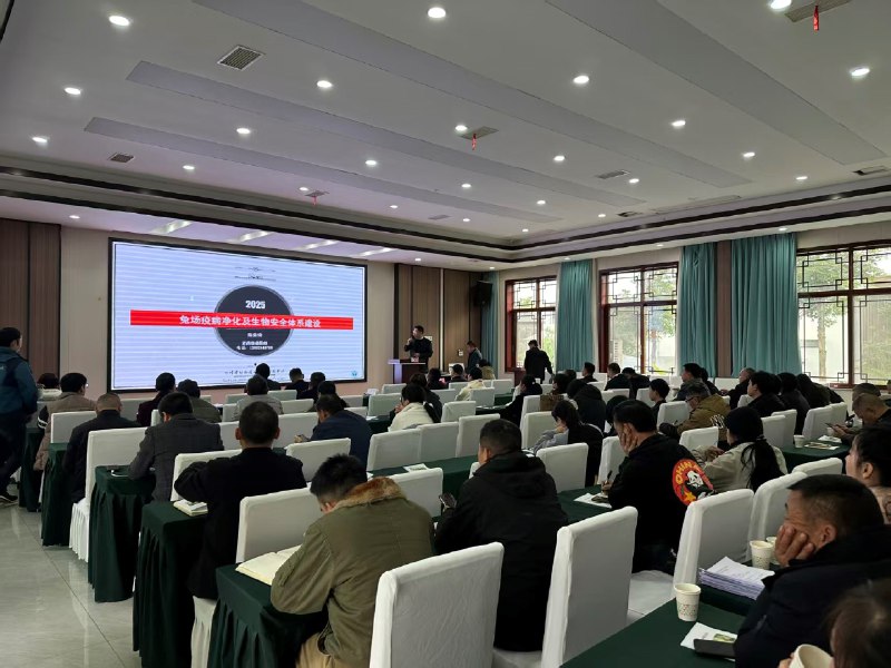 《陈医生，别怂！主播：追马 1473集完》陈医生坚守医德对抗行业乱象，从被排挤到逆袭成名医，剧情跌宕起伏