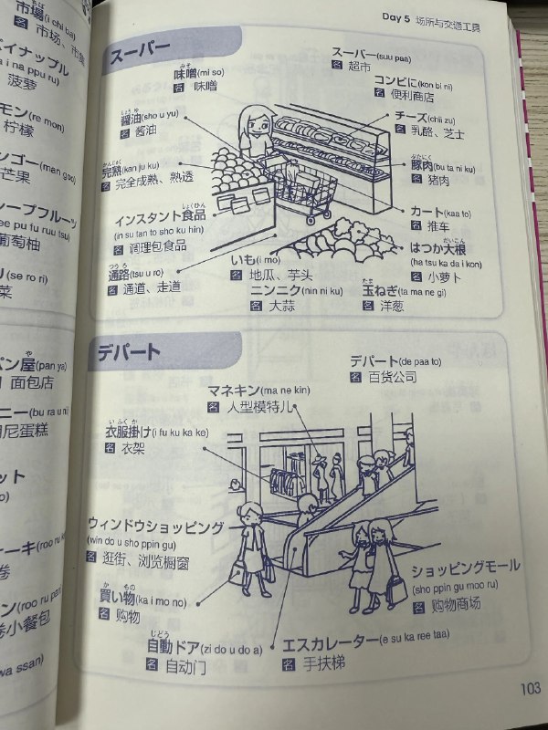 《零基础入门日语》从五十音图到实用会话循序渐进，搭配趣味插图和音频讲解，让初学者轻松迈出日语学习第一步