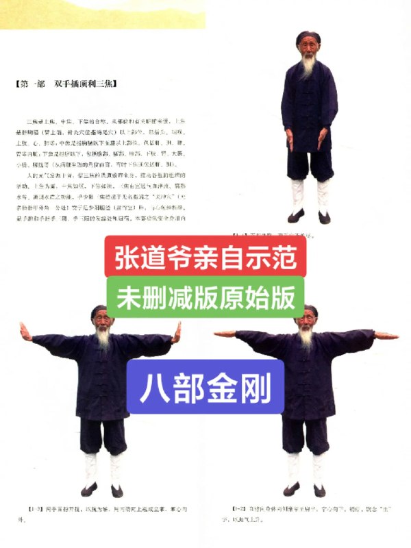 《张至顺道长资料》本资料罕见收录张至顺道长珍贵影像与口述实录，展现其百年修行精髓与道家智慧