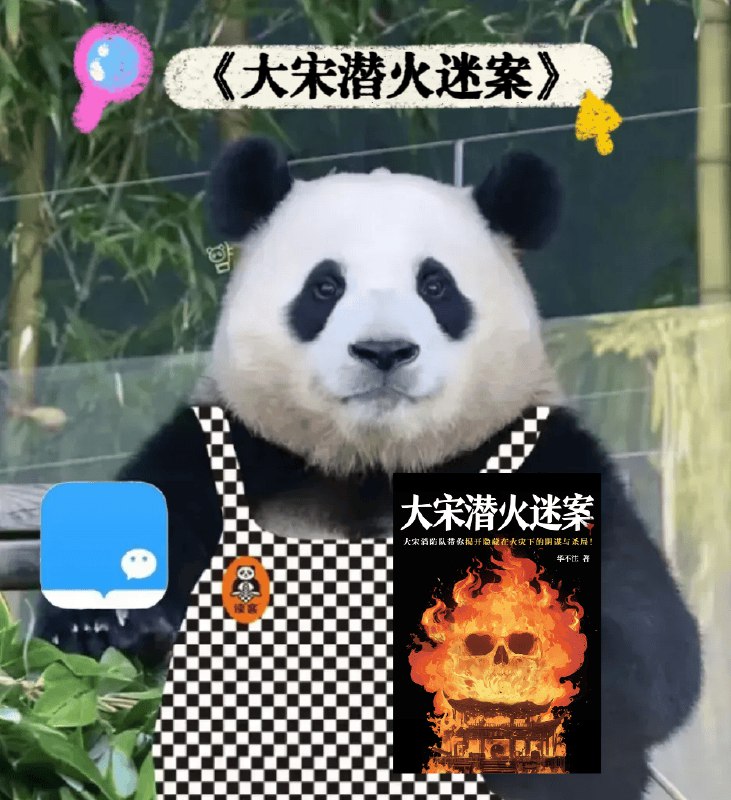 《大宋潜火迷案》一场离奇火灾揭开惊天阴谋，汴京小捕快携手神秘女医师，在繁华与危机交织的宋都抽丝剥茧