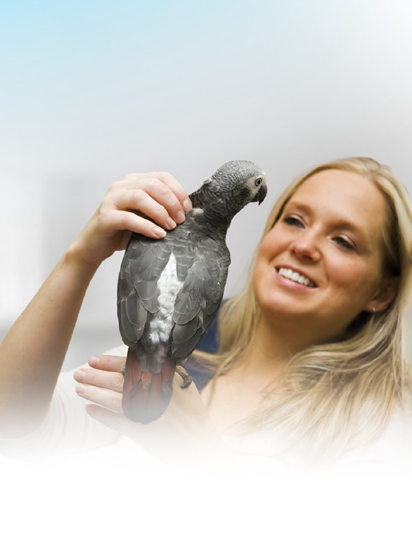 《深夜保健室全集》这部作品以独特的视角探讨健康话题，内容兼具专业性与趣味性，在深夜时分为观众带来实用知识与心灵慰藉